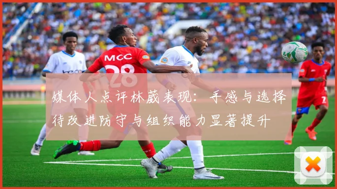媒体人点评林葳表现：手感与选择待改进防守与组织能力显著提升