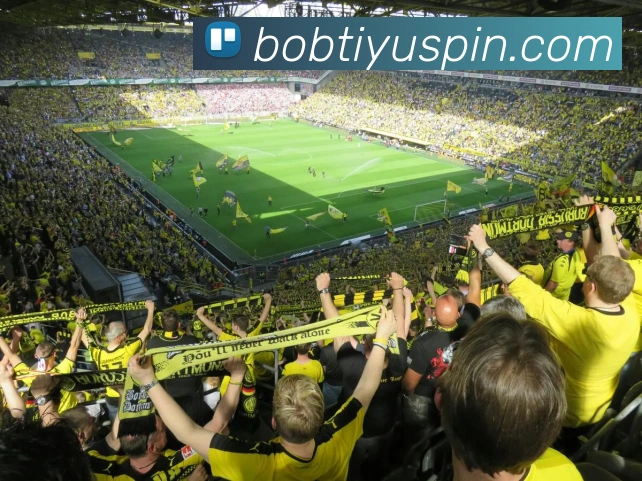 BOB体育APP 封面图